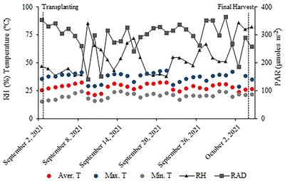 Yield, nutrition, and leaf gas exchange of lettuce plants in a hydroponic system in response to Bacillus subtilis inoculation